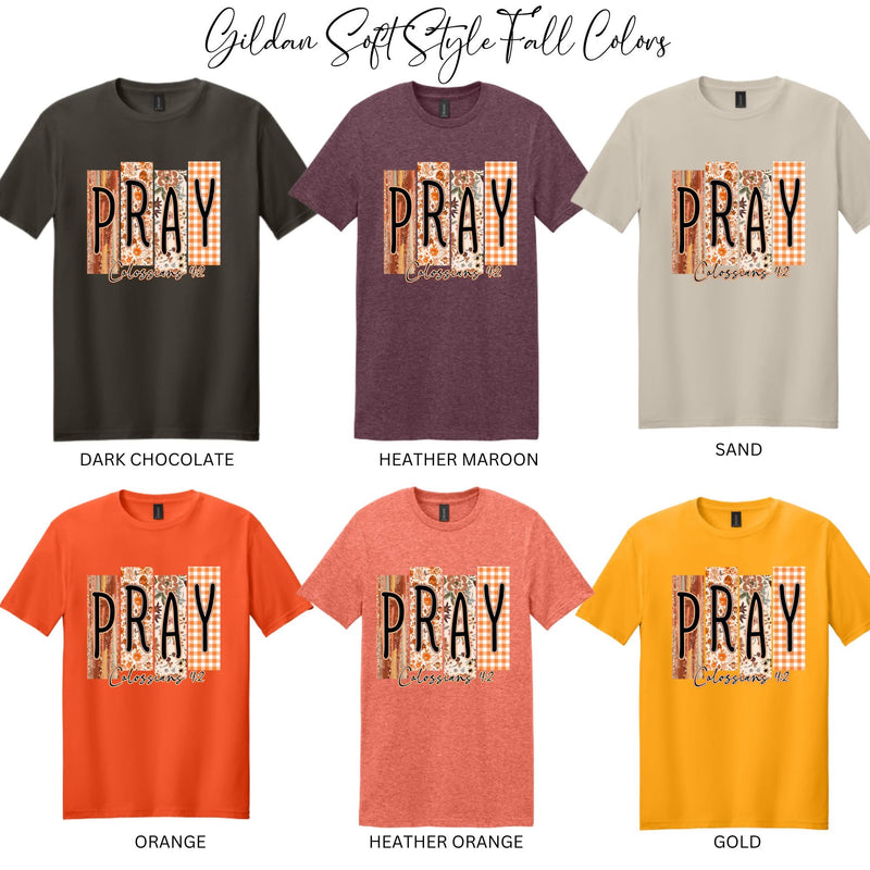 Pray Colossians 4:2 Tee