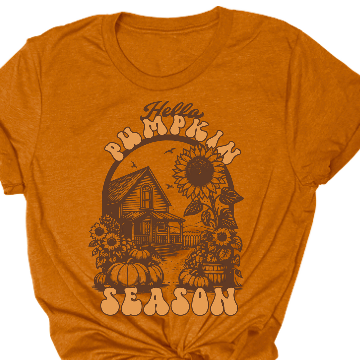 Pumpkin Season Farmhouse Tee